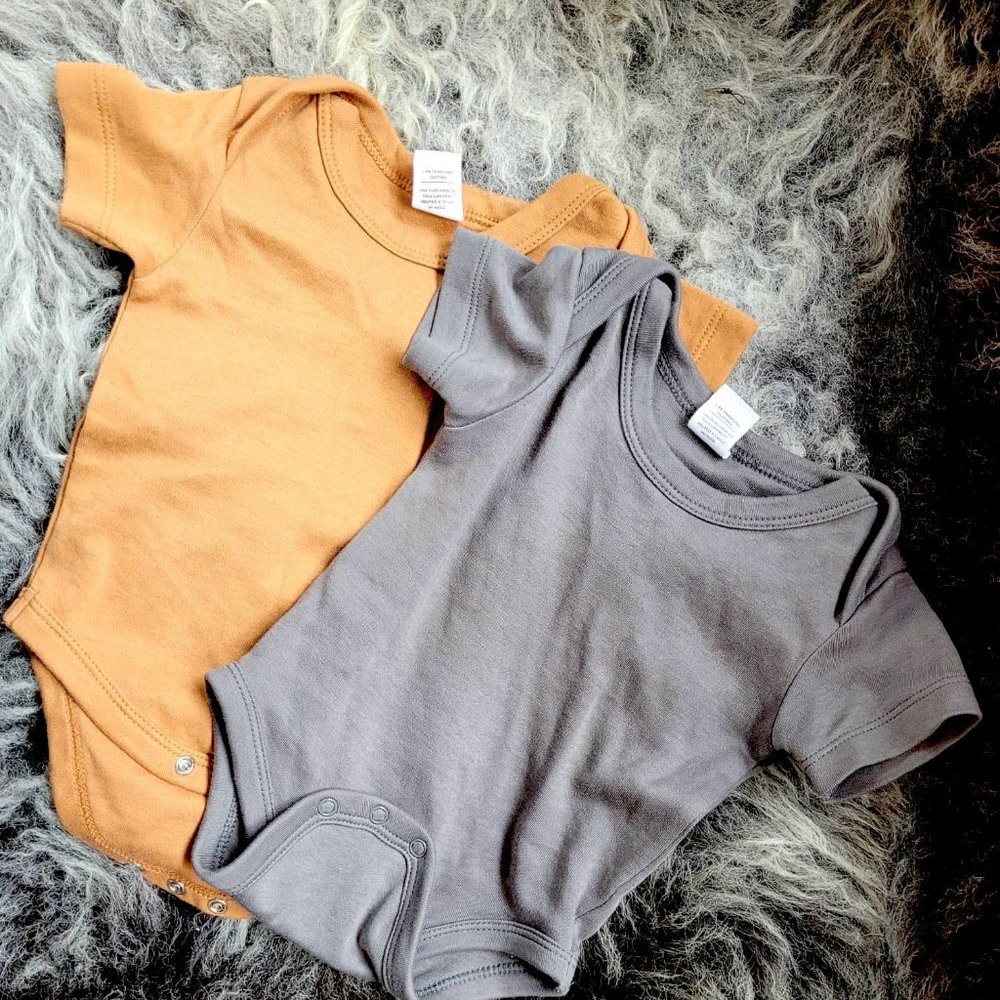 2 x Organic Baby Onesie by Colored Organics 0 to 3 months